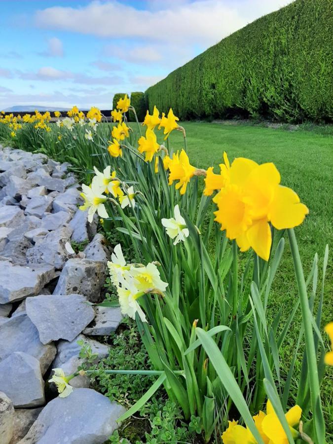 Bunratty Haven Bed & Breakfast Exterior photo